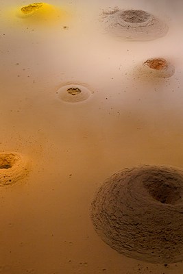 Image 30 of 30