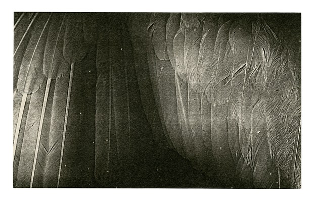 Image 12 of 17