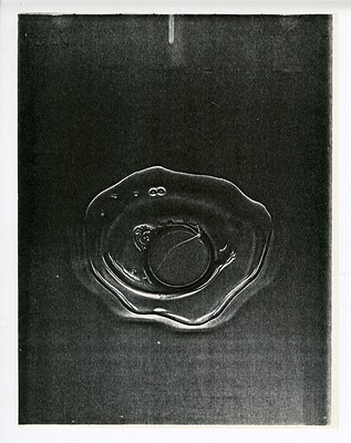 Image 11 of 17