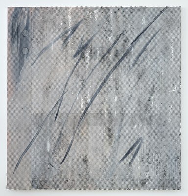 Image 11 of 17
