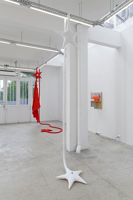 Image 12 of 24