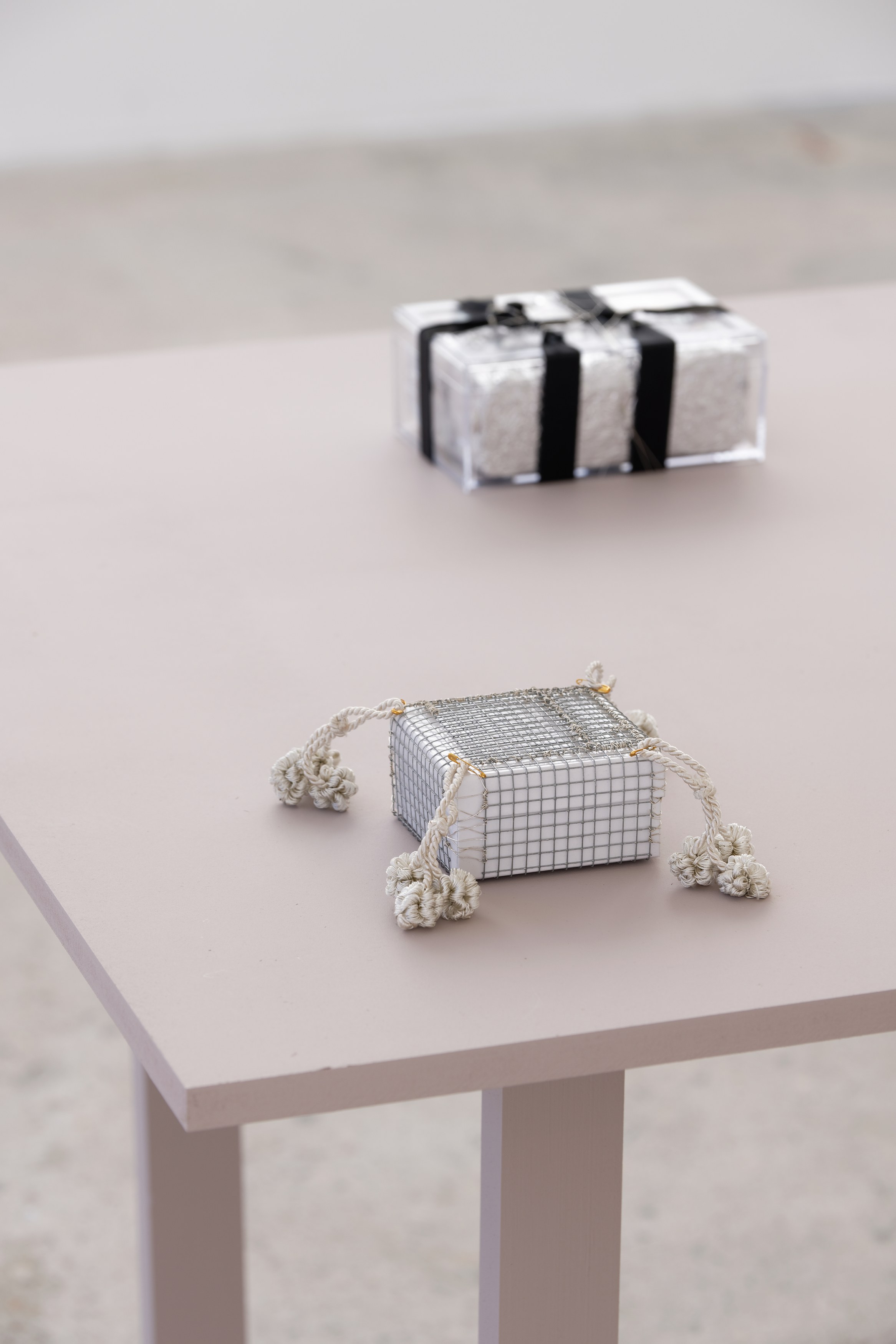Naoki Sutter-Shudo, Mœurs at Tragic Venus, CELESTE | data center Marilyn, Champs-sur-Marne, photo 36