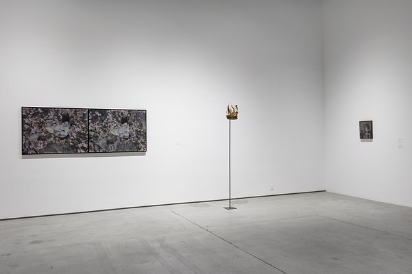 Image 19 of 70