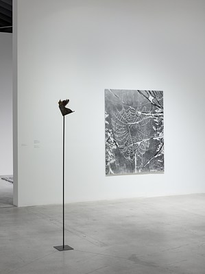 Image 40 of 70