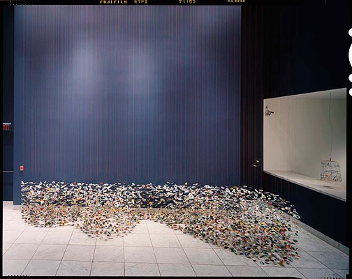 Image 7 of 7