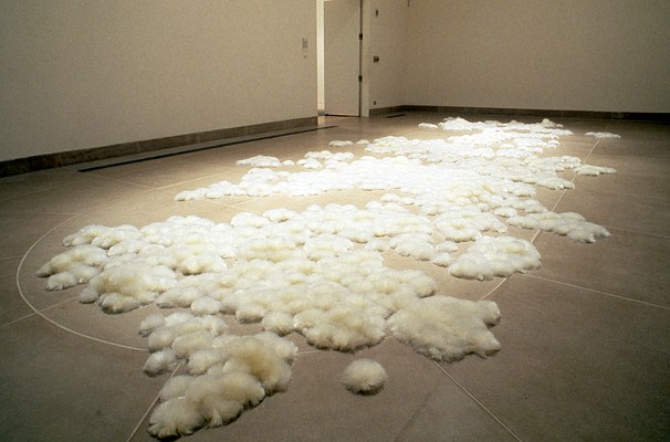 Image 4 of 10