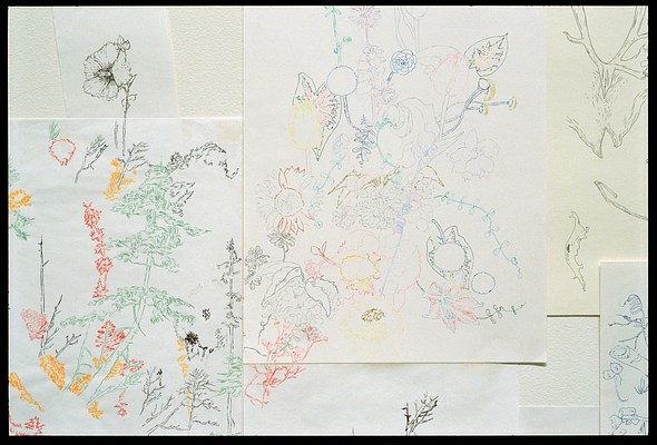 Image 8 of 10