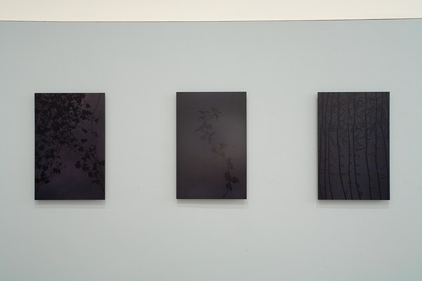 Image 8 of 11