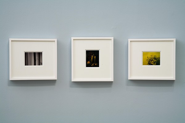 Image 10 of 11