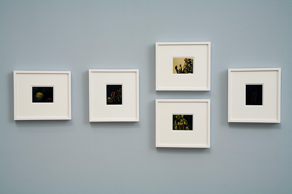 Image 11 of 11