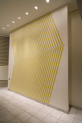 Image 7 of 19