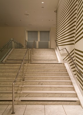 Image 8 of 19