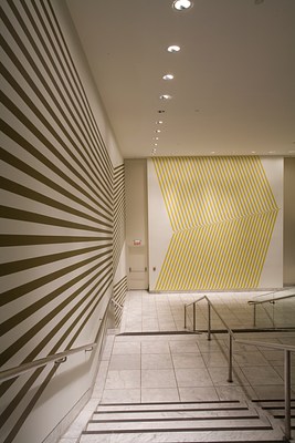 Image 15 of 19