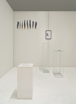 Image 10 of 17