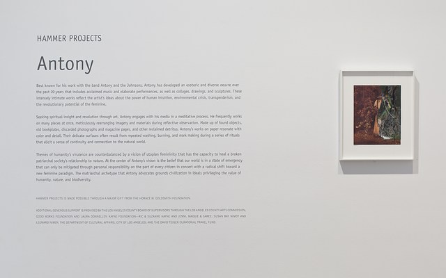 Image 12 of 12