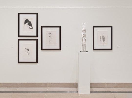 Image 10 of 15