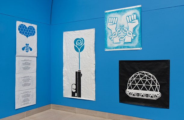Image 12 of 22