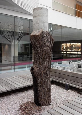 Image 19 of 27