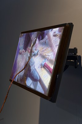 Image 21 of 25