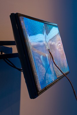 Image 25 of 25