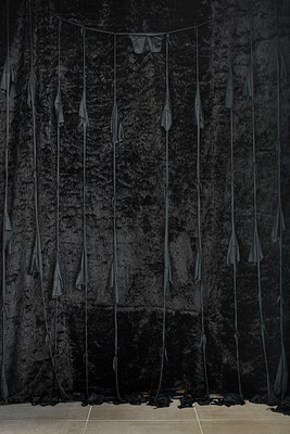 Image 2 of 21