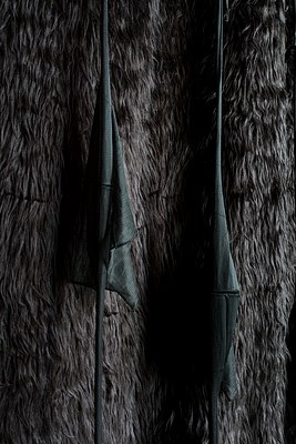 Image 4 of 21