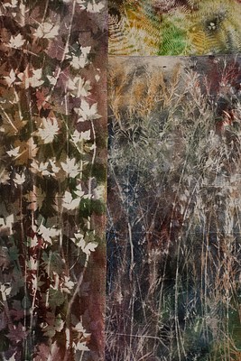Image 10 of 14