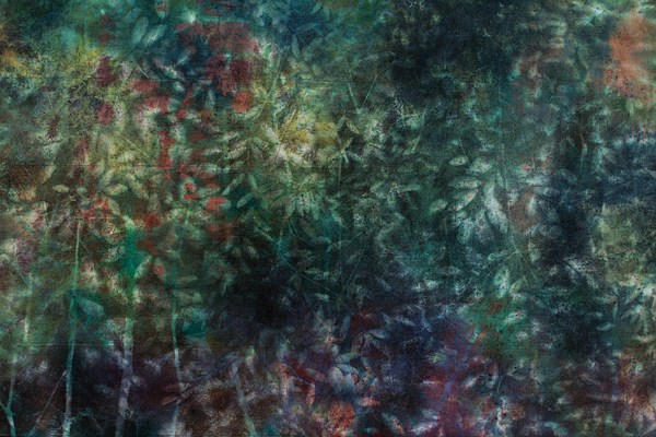 Image 12 of 14