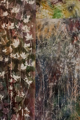 Image 13 of 14