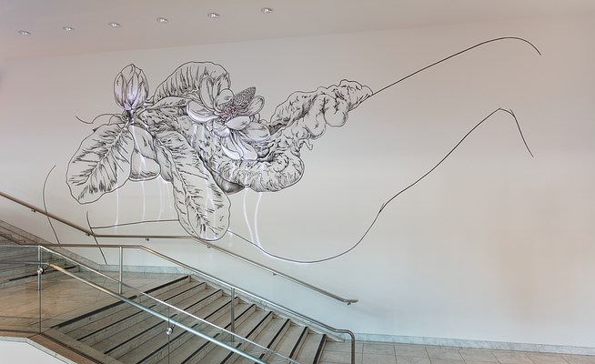 Image 11 of 26