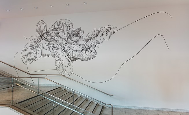 Image 12 of 26