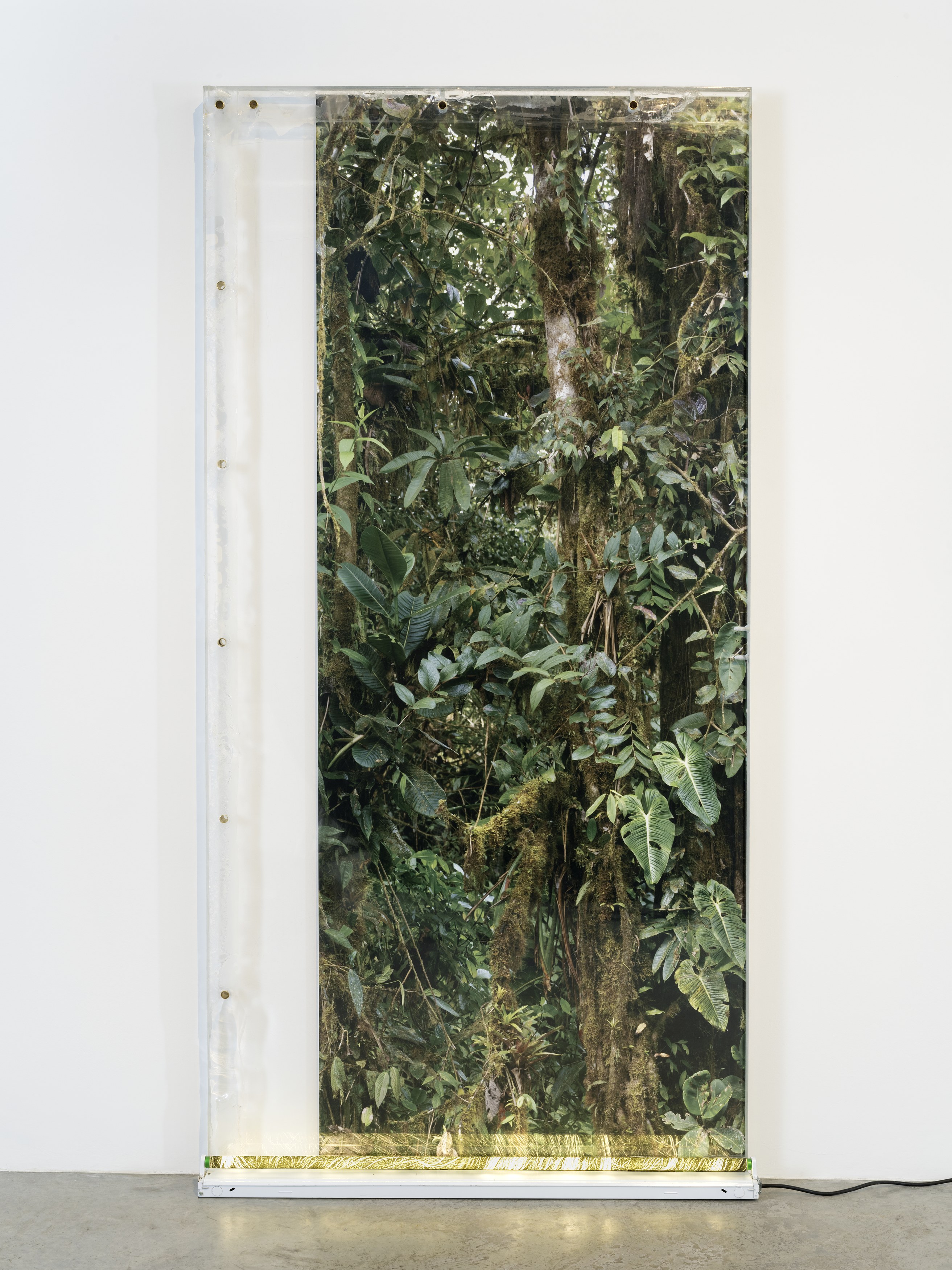 Virginia Overton, Água Viva at Bortolami, photo 14