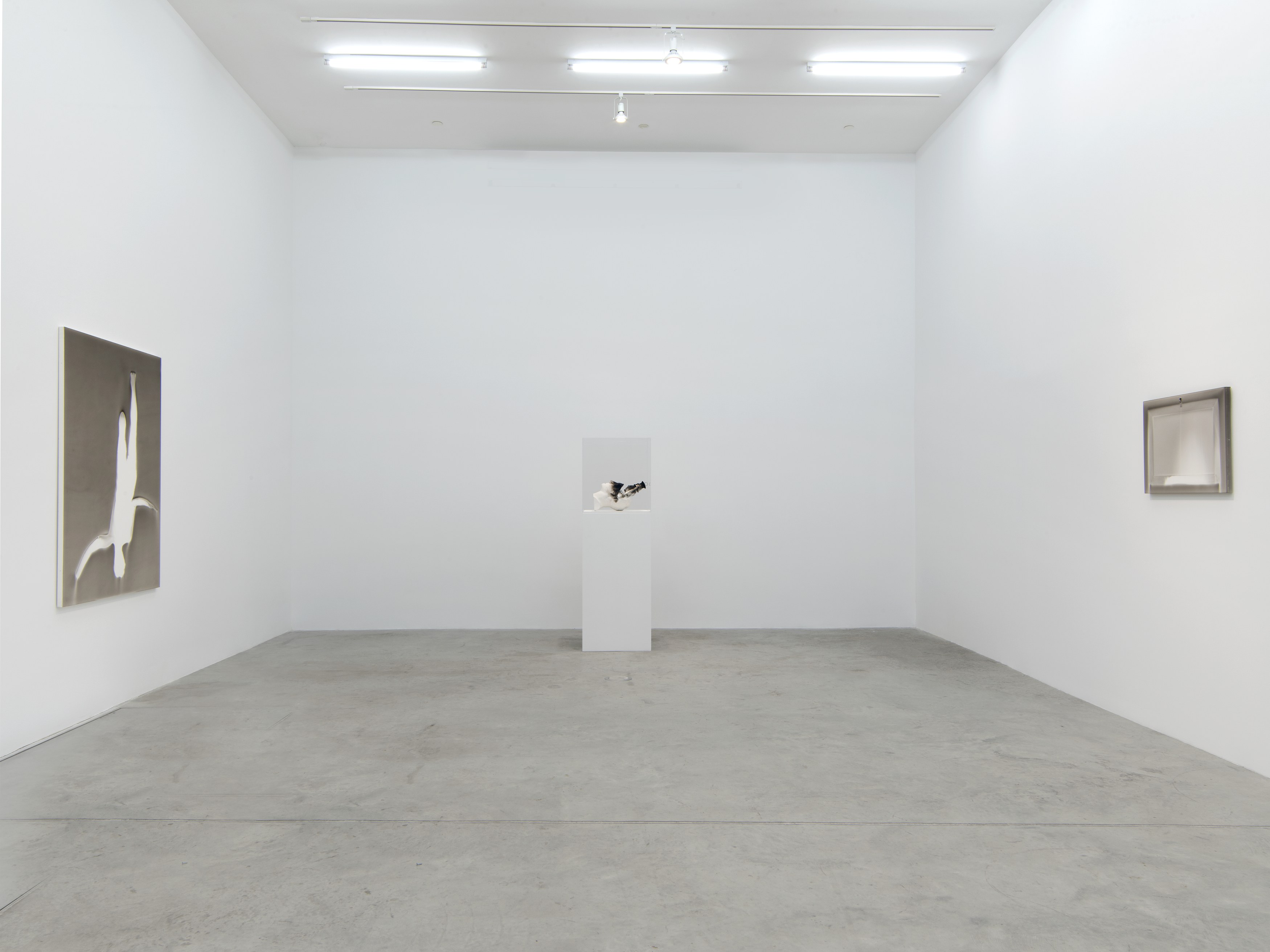 Claudio Parmiggiani, Claudio Parmiggiani at Bortolami, photo 16