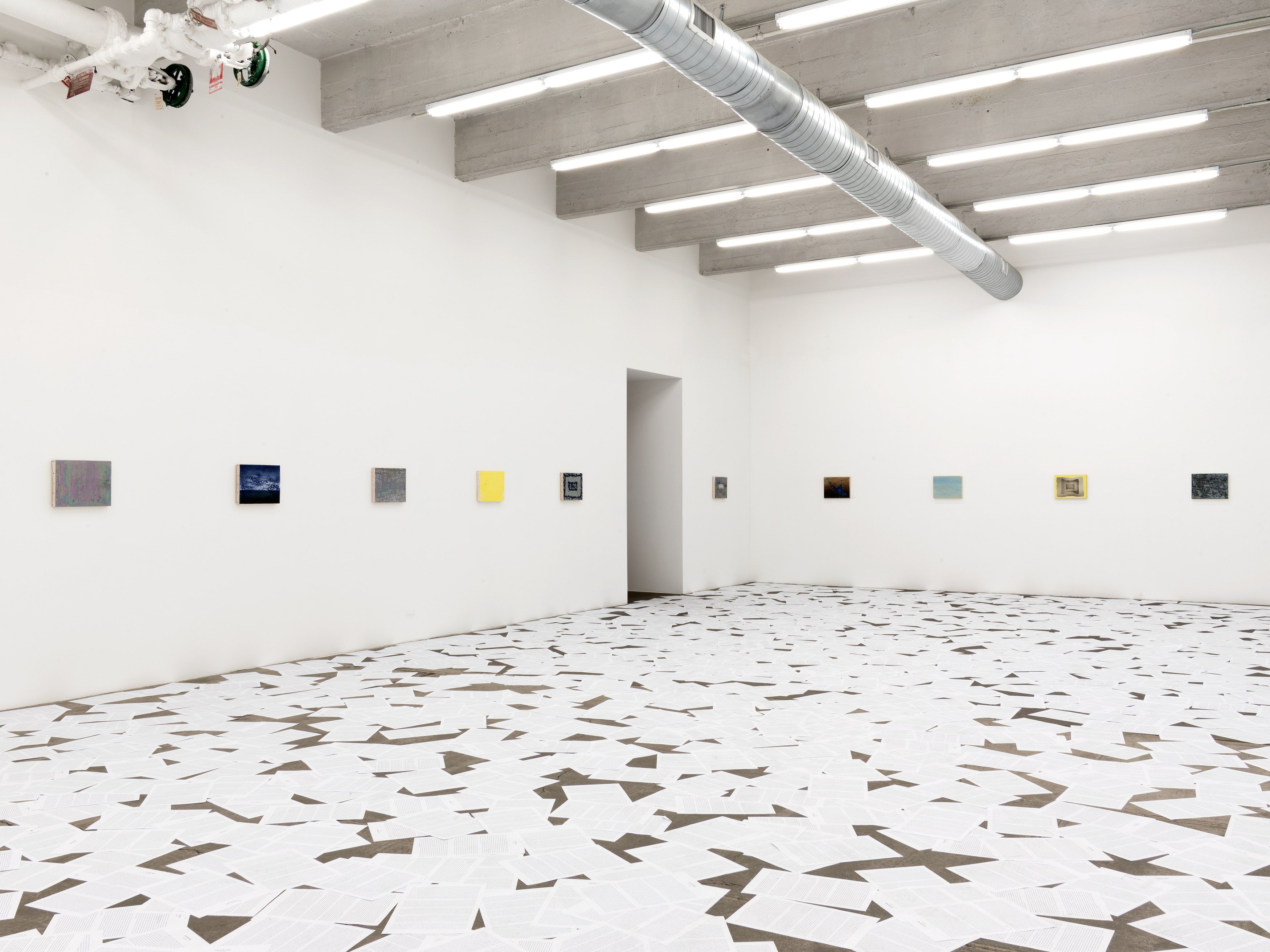Nicolás Guagnini, Bibelots at Bortolami, photo 3
