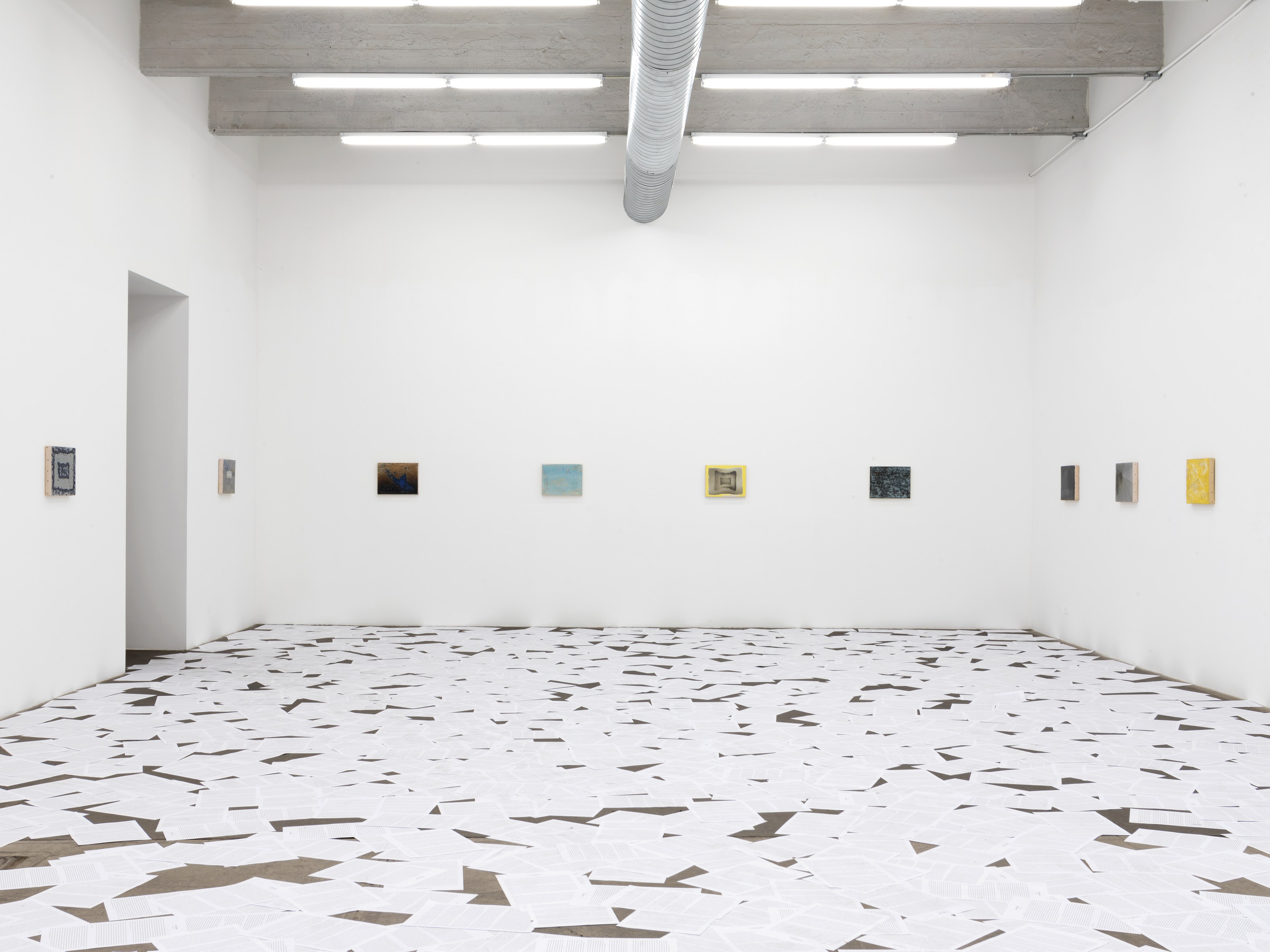 Nicolás Guagnini, Bibelots at Bortolami, photo 5