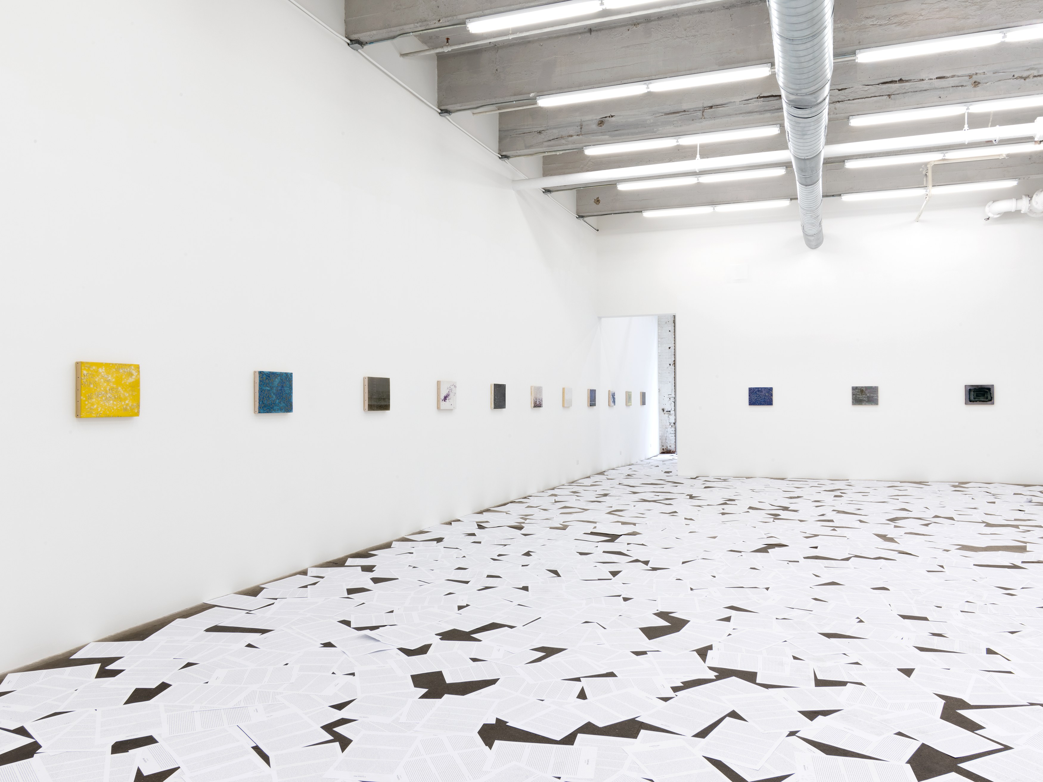 Nicolás Guagnini, Bibelots at Bortolami, photo 8