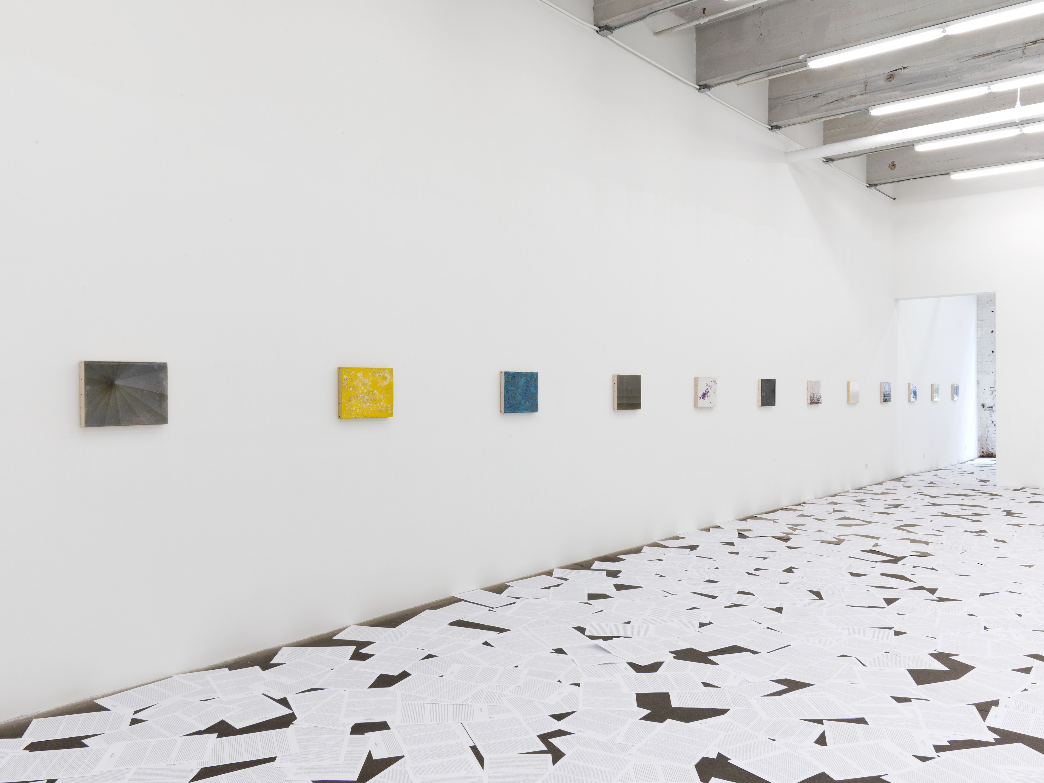 Nicolás Guagnini, Bibelots at Bortolami, photo 9