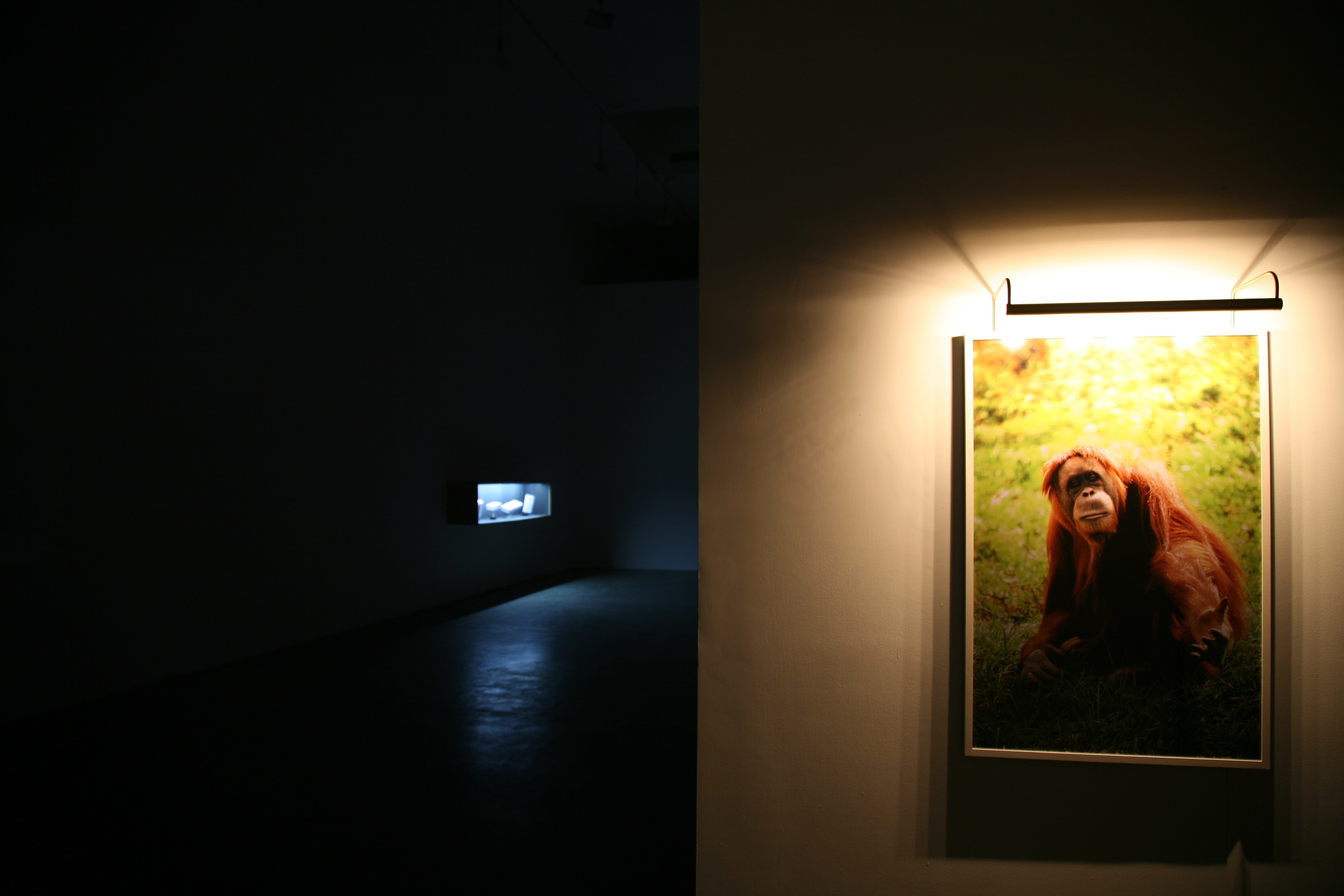 Piero Golia, Oh my god that’s so awesome! at Bortolami, photo 12
