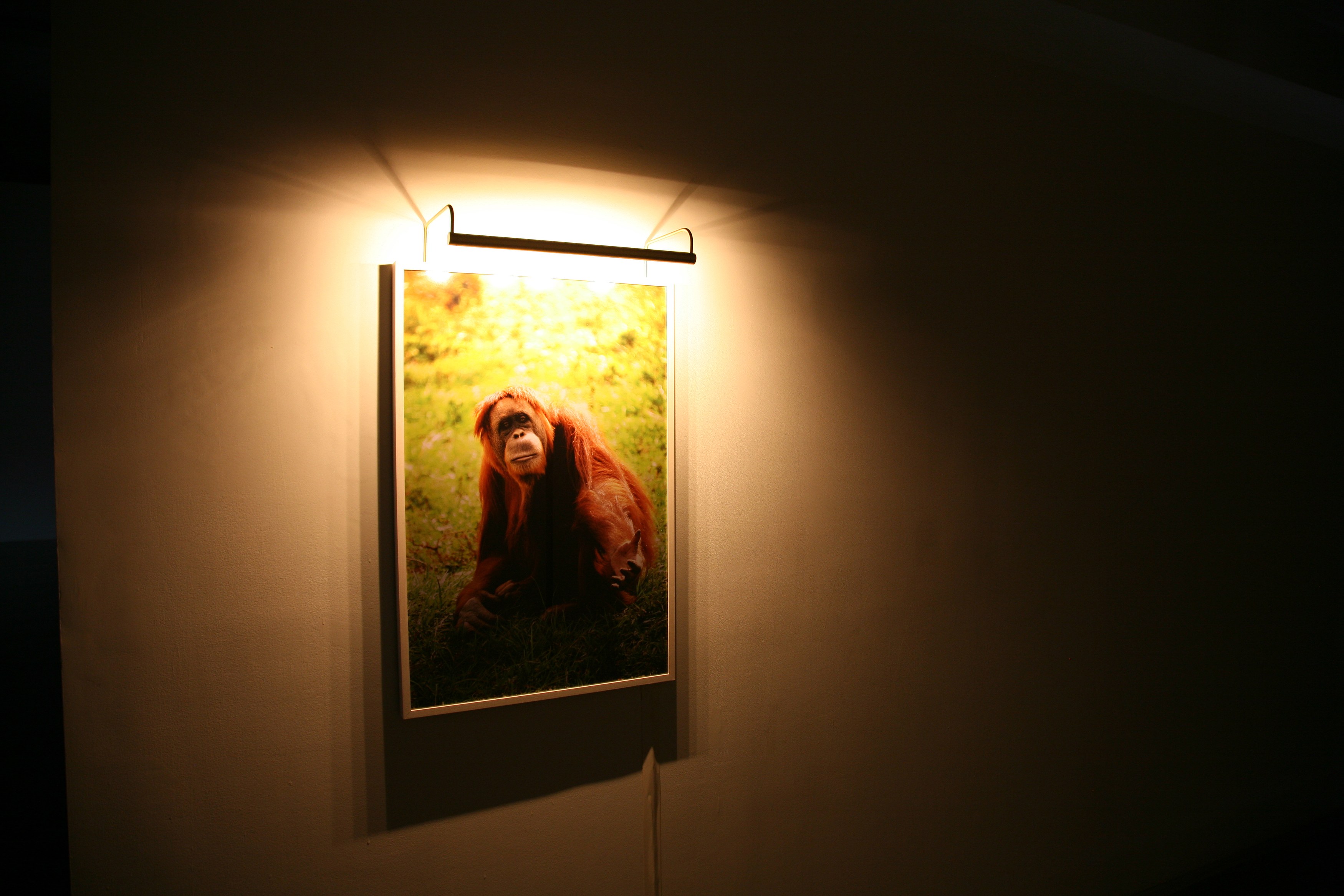 Piero Golia, Oh my god that’s so awesome! at Bortolami, photo 14