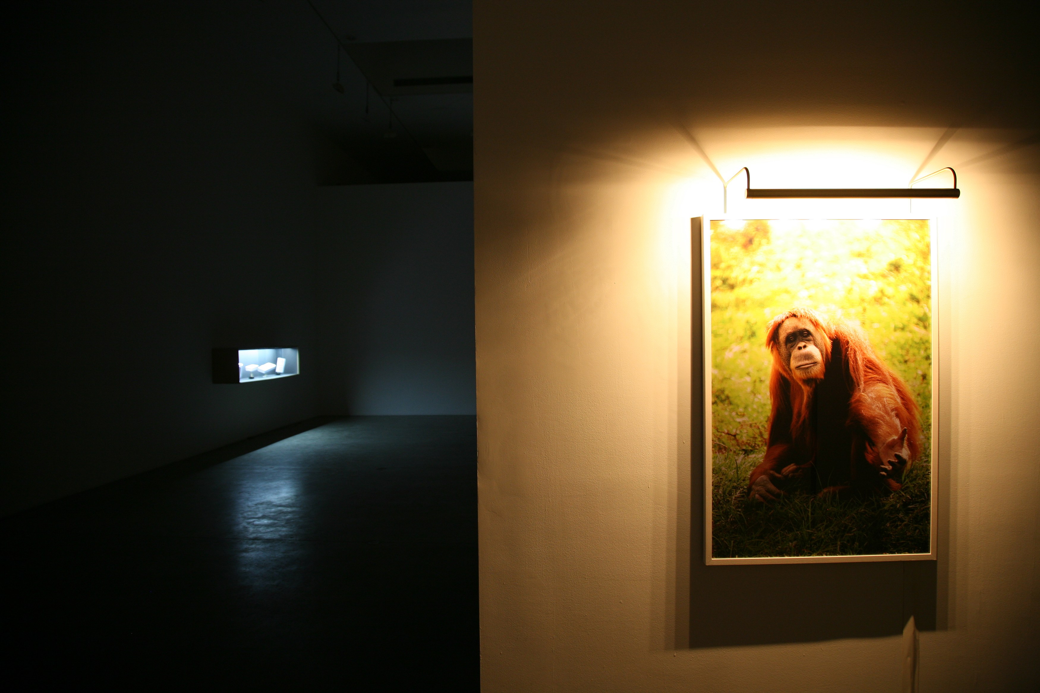 Piero Golia, Oh my god that’s so awesome! at Bortolami, photo 13