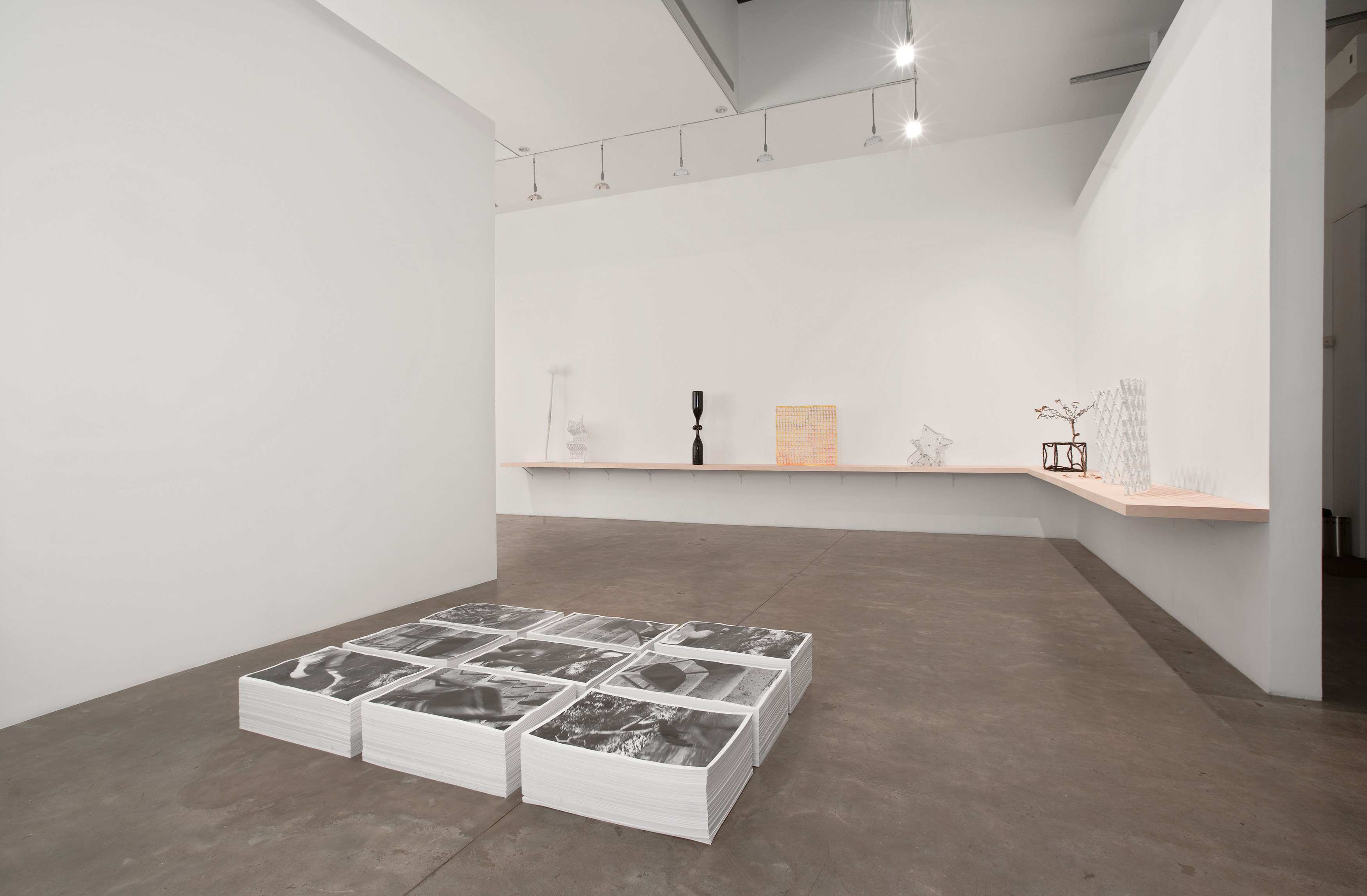Michel François, Untitled at Bortolami, photo 2