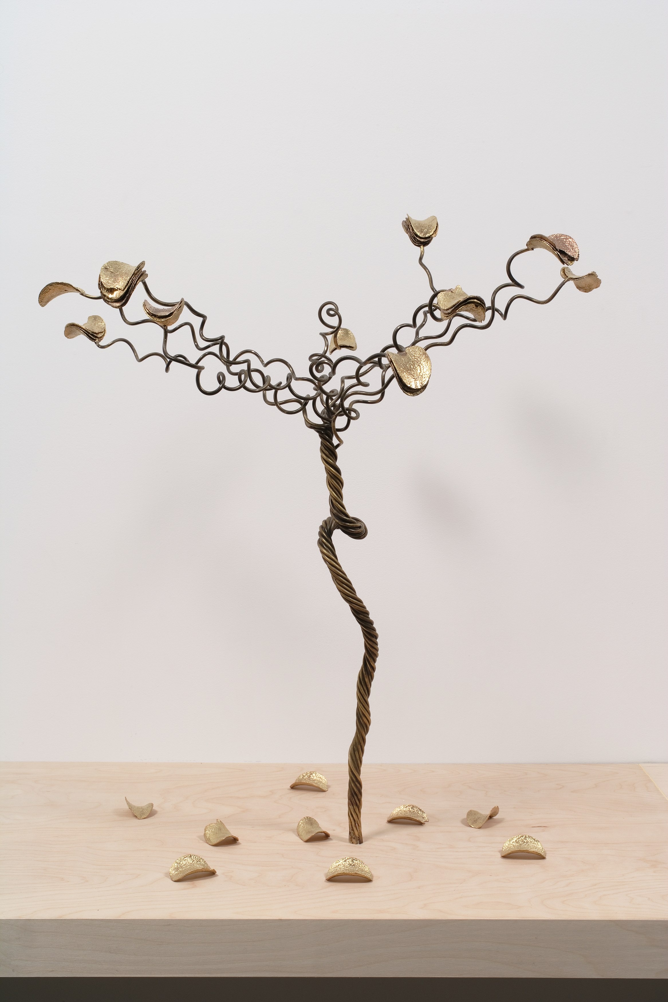 Michel François, Untitled at Bortolami, photo 17