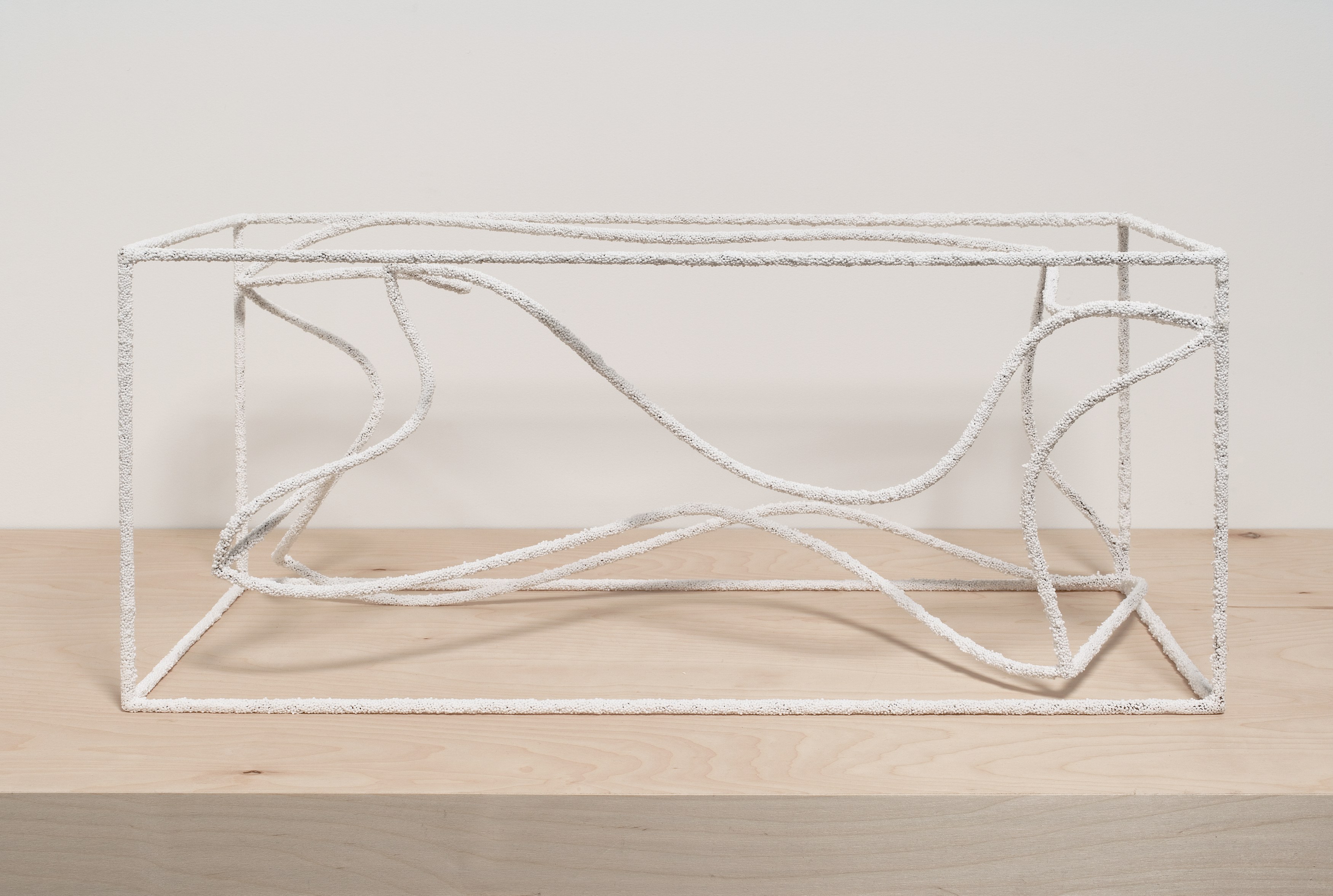 Michel François, Untitled at Bortolami, photo 14