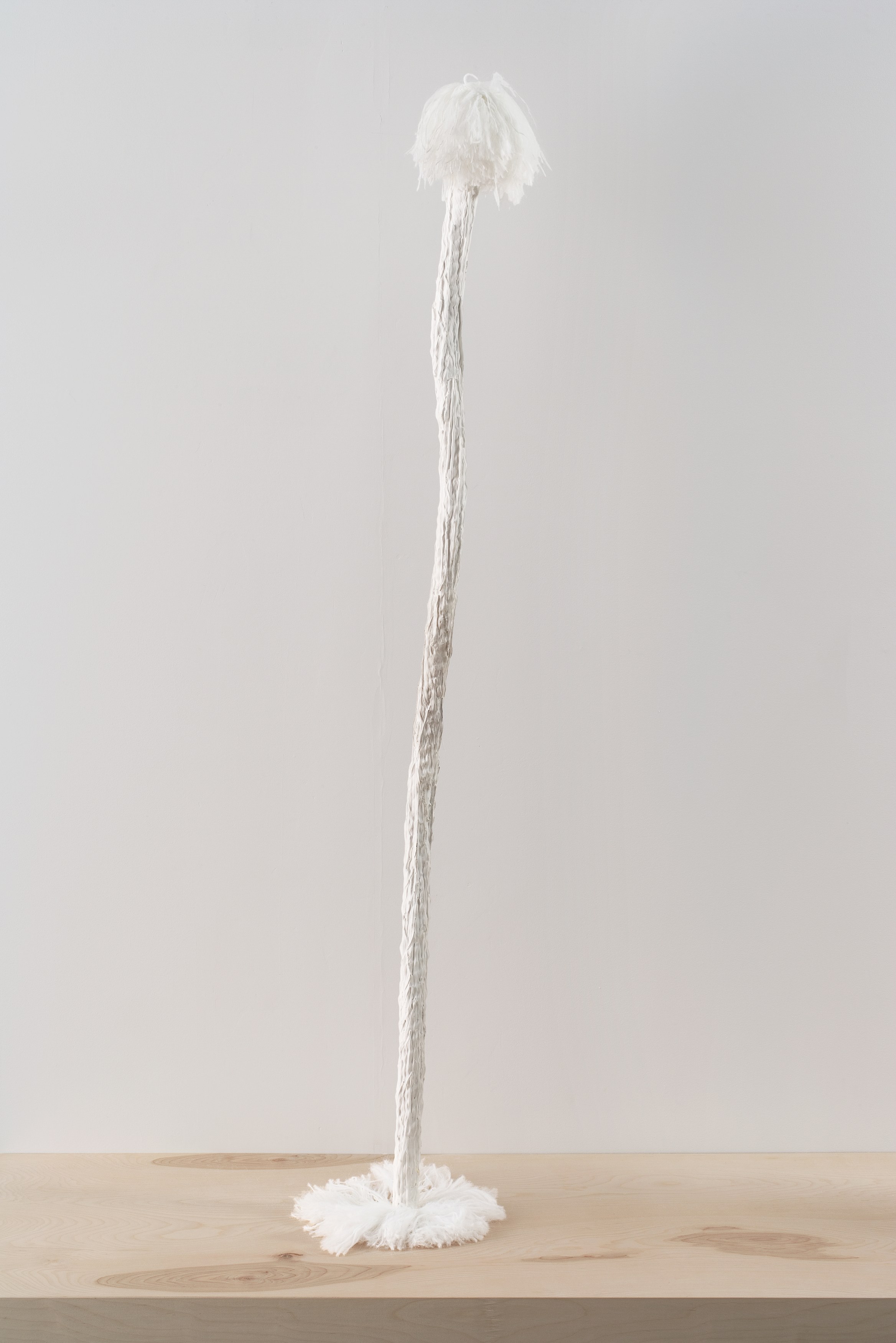 Michel François, Untitled at Bortolami, photo 22