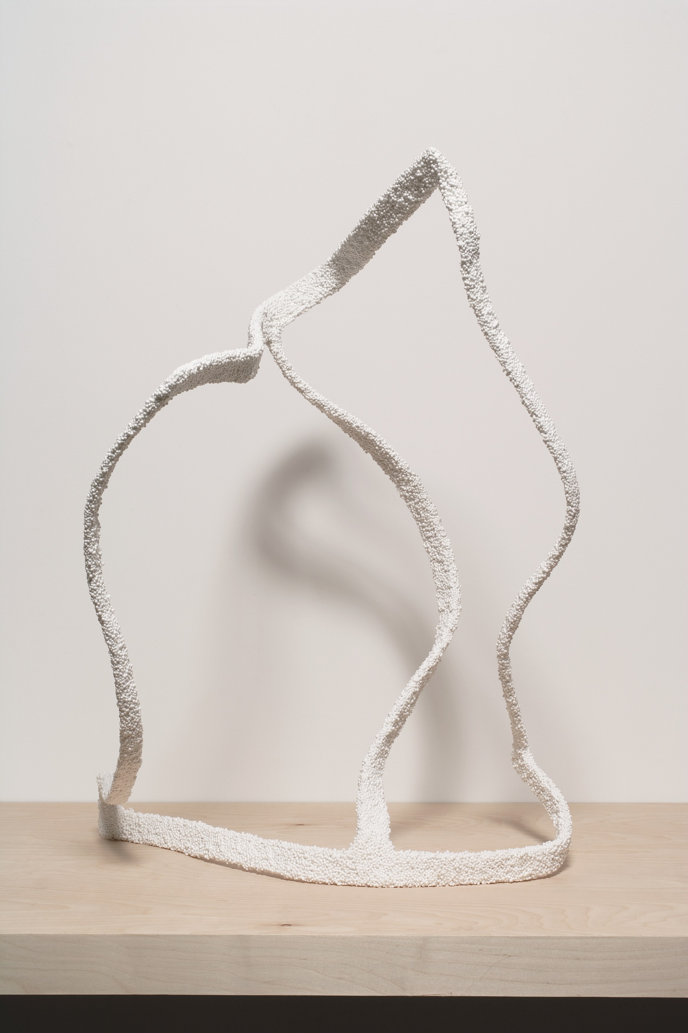 Michel François, Untitled at Bortolami, photo 19