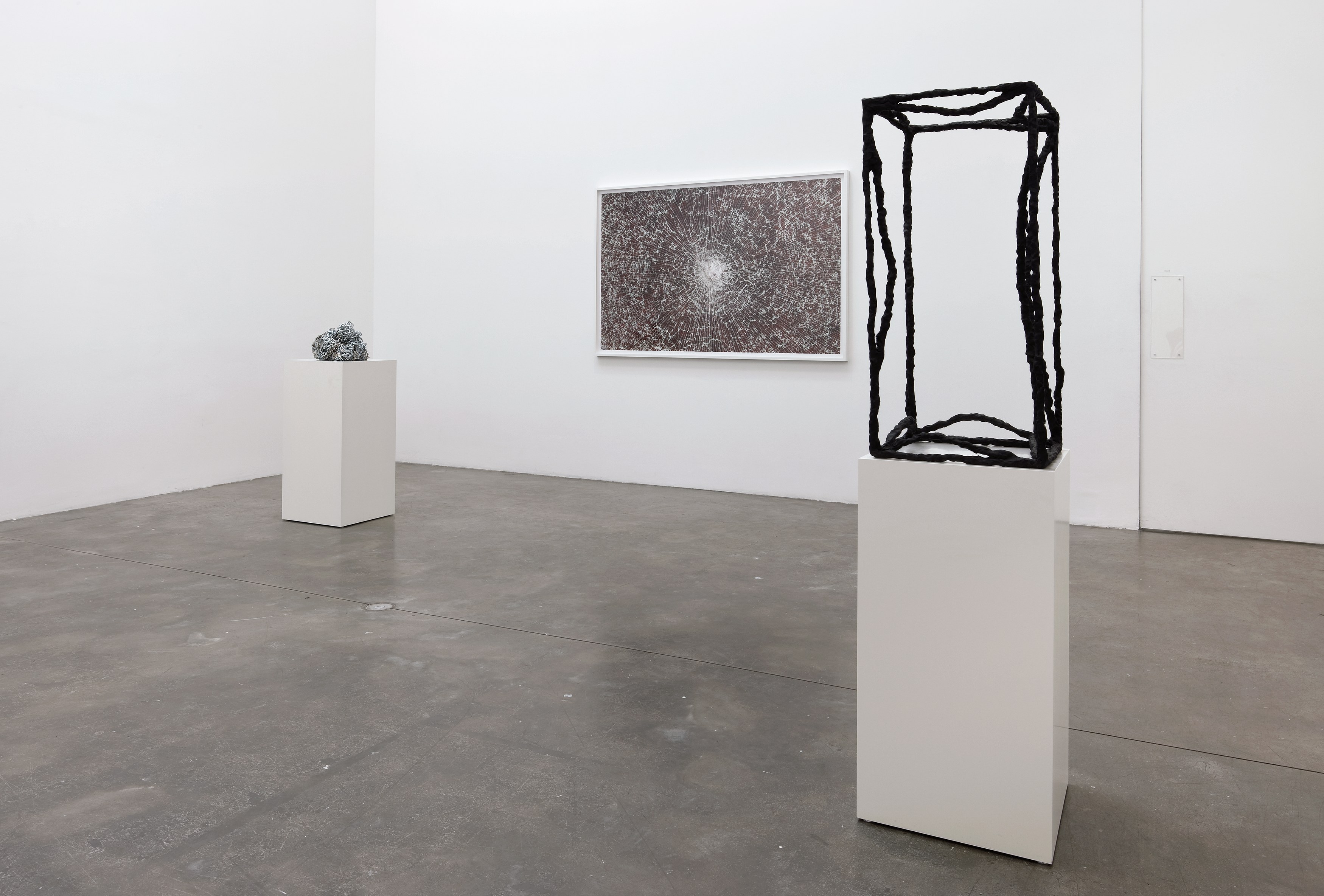 Michel François, Untitled at Bortolami, photo 6