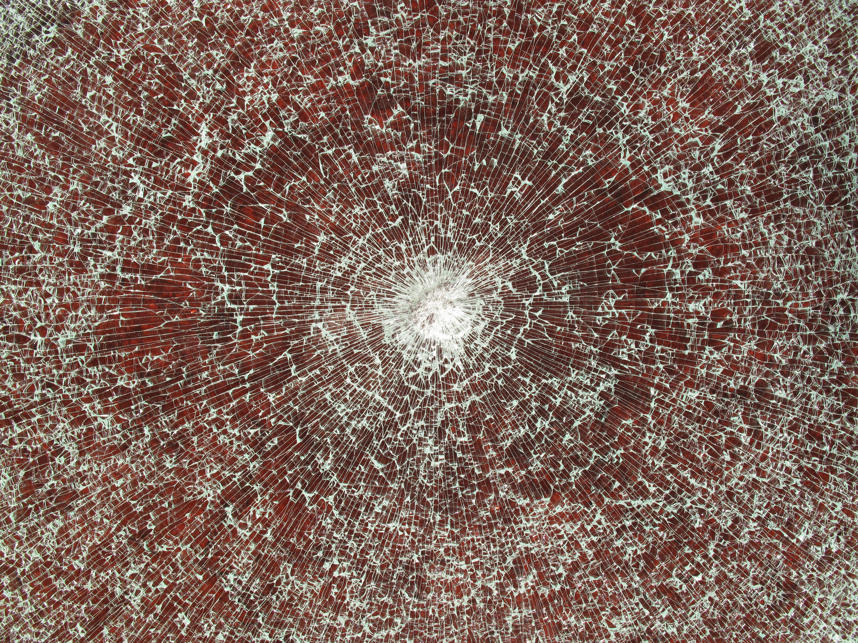 Michel François, Untitled at Bortolami, photo 11