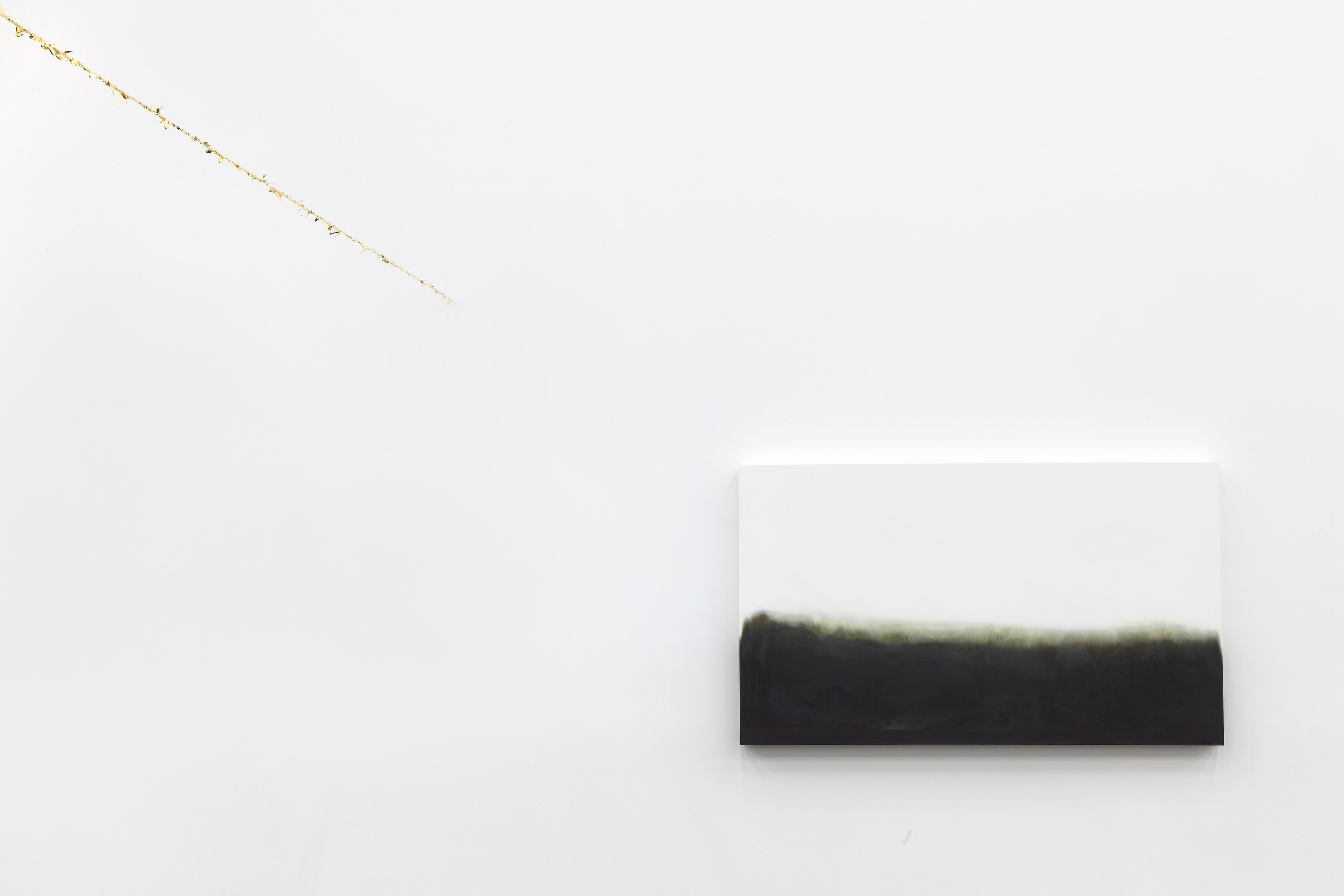 Michel François, Pieces of Evidence at Bortolami, photo 12