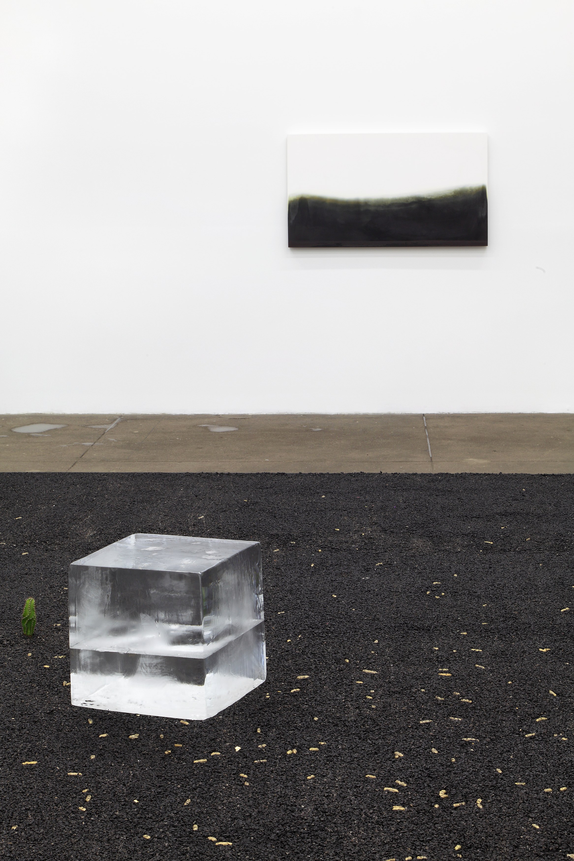 Michel François, Pieces of Evidence at Bortolami, photo 4