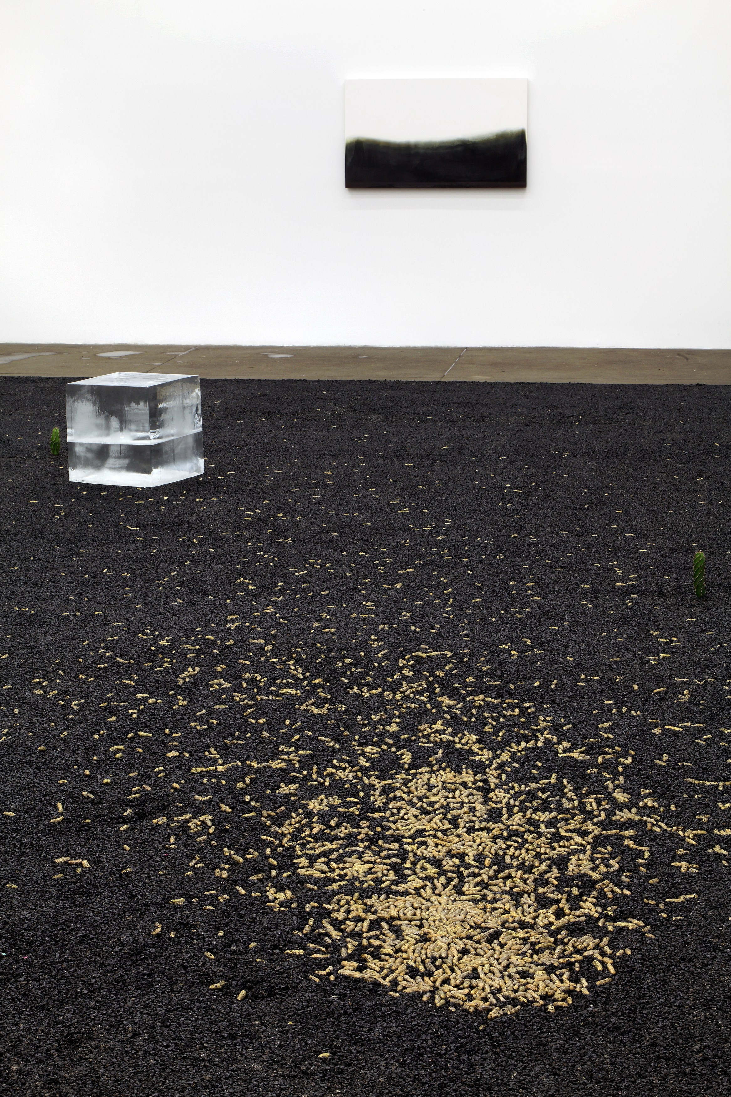 Michel François, Pieces of Evidence at Bortolami, photo 5